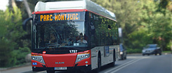 Bus Bus