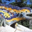 Drac - Park Güell (Antoni Gaudí)